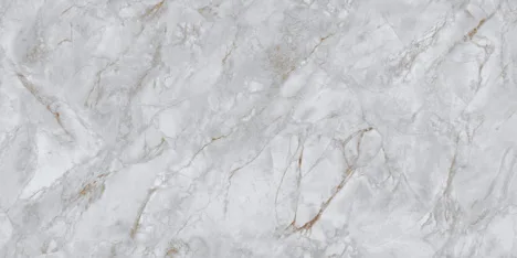 WINTER BORGHINI porcelain tile