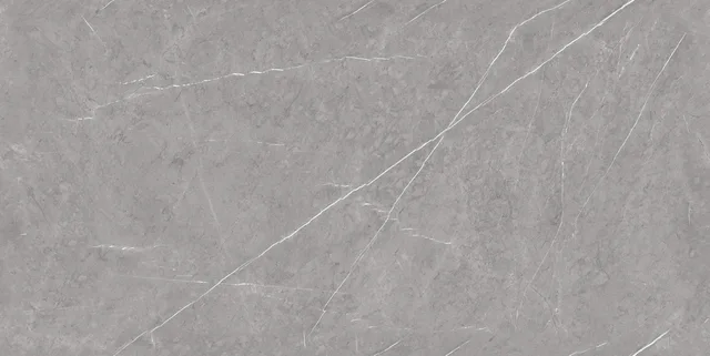 GRIGIO SILVER porcelain tile