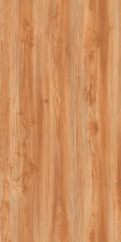 COSTAWOOD porcelain tile