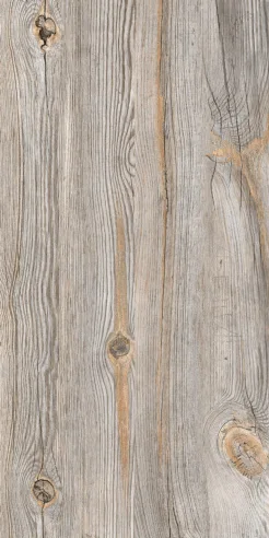 EXPECTO GRISS porcelain tile