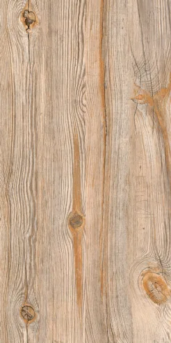 EXPECTO NATURAL porcelain tile