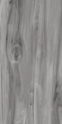 FOREST WOOD ASH porcelain tile