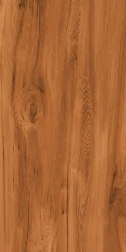 FOREST WOOD RED porcelain tile