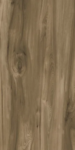 FOREST WOOD porcelain tile